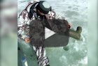 Новое видео с подледной рыбалки, снятое на подводную камеру